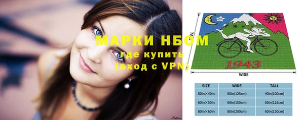 прущие грибы Балабаново