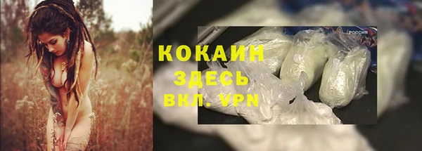 прущие грибы Балабаново