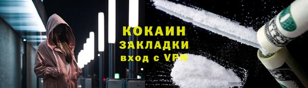 прущие грибы Балабаново