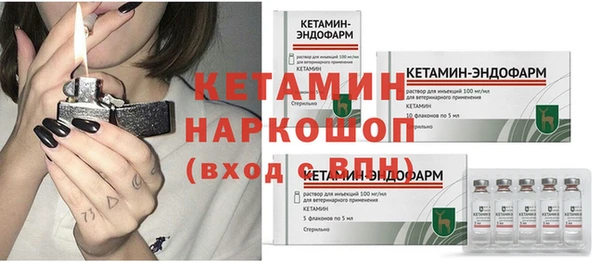прущие грибы Балабаново