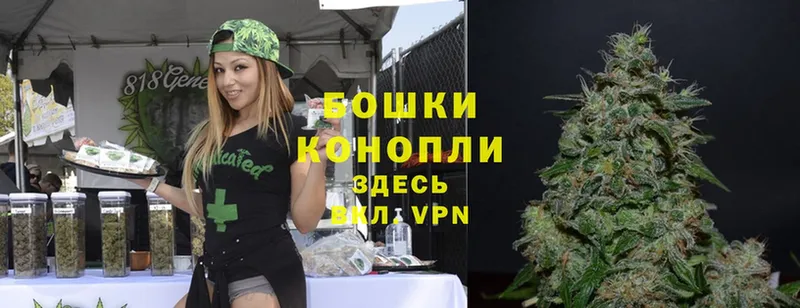 Каннабис SATIVA & INDICA  mega как зайти  Буинск 